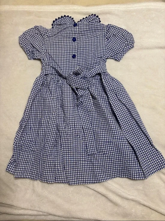 Vintage Blue Gingham Checkered Dress - Picture 3 of 4